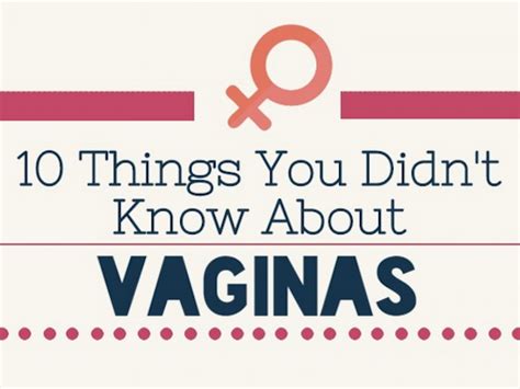 are vaginas attractive|23 Vagina Facts You’ll Want to Tell All Your Friends